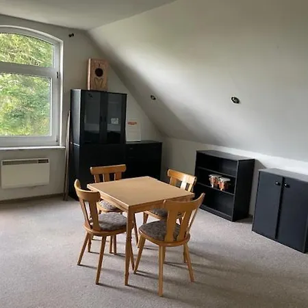Haus Mit Blick Ins Trebeltal Apartment